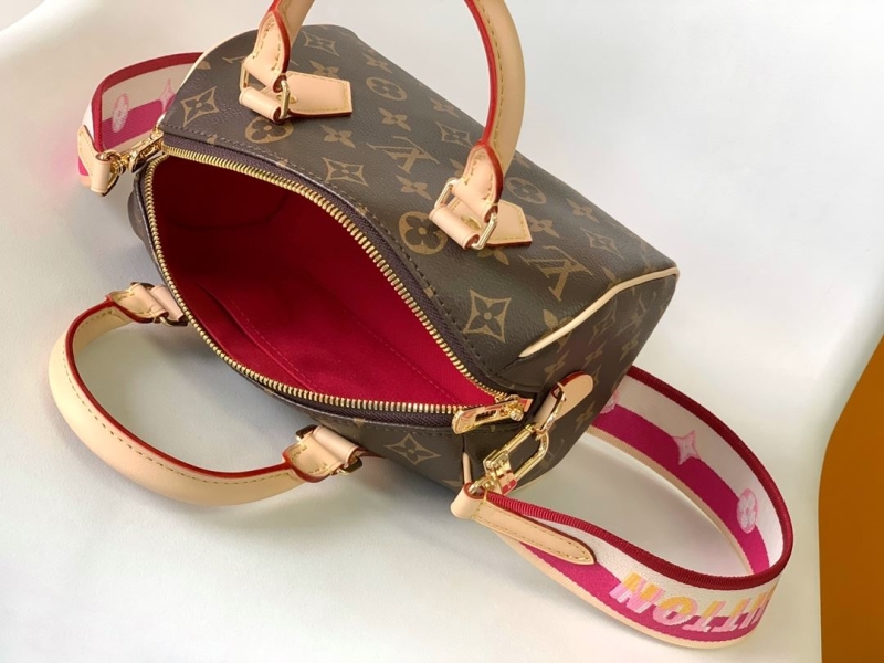 LV Speedy Bags